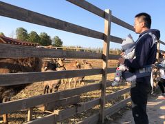 -安德鲁户外烧烤帐篷营地(马泉营店)