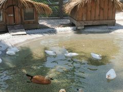 -珠海海泉湾神秘岛亲子乐园