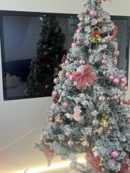 -VE专注问题肌·赛诺龙&科学美肤中心