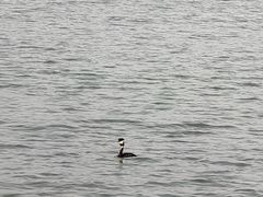 -池州市平天湖风景区