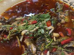 -鸭王烤鸭店(三里河店)