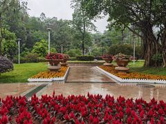 -广东花都湖国家湿地公园