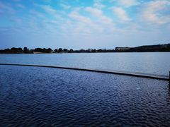 -上海月湖雕塑公园
