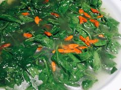 上汤枸杞叶-广东道至正餐厅(区庄店)