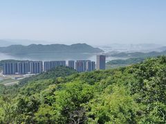 -黄贤森林公园