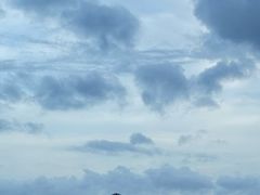 -碧海金沙