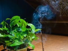 -莲泰式·中式·沐足·精油SPA采耳(天河店)