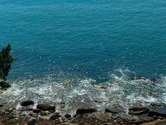 -玫瑰海岸文化旅游度假区