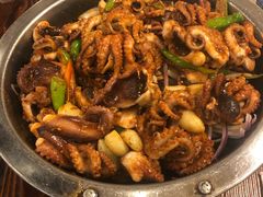 酱爆八爪鱼-咱家大院海鲜家常菜