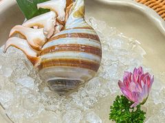 -太琼糟粕醋·海南酸汤火锅(亚龙湾店)