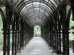 -合肥滨湖国家森林公园