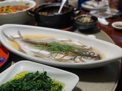 清蒸白水鱼-天福苑(崇宁路店)