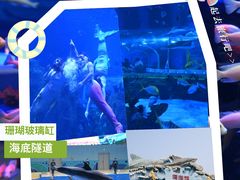 -石家庄极地海洋世界