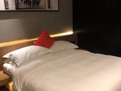 -东阿阿胶文化酒店
