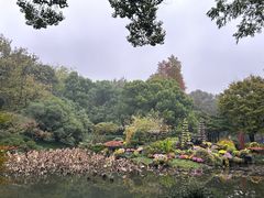 -杭州植物园