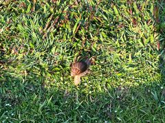 -亚龙湾国际玫瑰谷