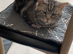 -平行世界·猫咖(首经贸店)