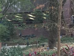 -香港大学