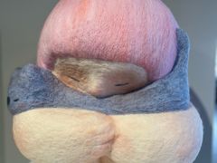-辰熙ACX星海艺术中心