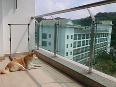 -河源万绿湖美思威尔顿酒店