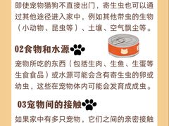 -艾贝尔宠物医院 ·中兽医·宠保定点(北门桥店)