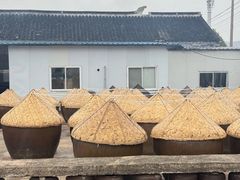 -苏州市吴中区光福窑上花果蜜饯厂