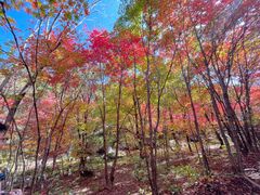 -本溪老边沟风景区