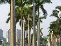 -珠海市博物馆