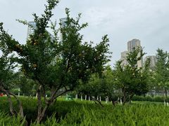 -西安世博园