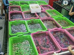 -青澳湾北回归线广场