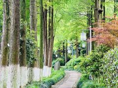 -八卦田遗址公园