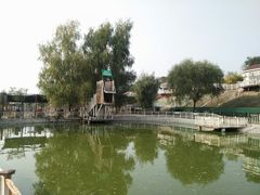 -北京鹿世界主题园