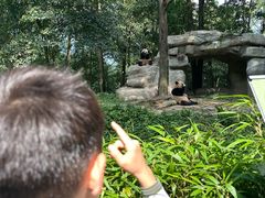 -中国大熊猫保护研究中心雅安碧峰峡基地