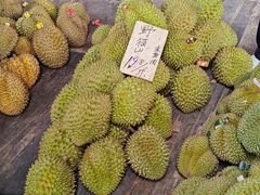 -海吉星市场