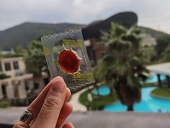 -宁波九龙湖开元度假村
