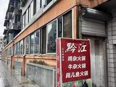 -黔江鸡杂火锅(红星路一段)
