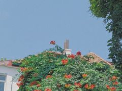 -信号山公园