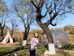 -Supine Bistro溯泮餐厅