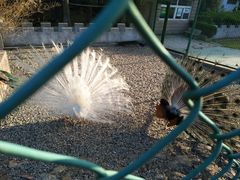 -南京金牛湖风景区