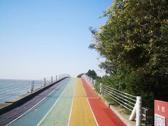 -贡湖湾湿地公园