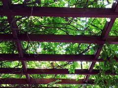 -南京金牛湖风景区