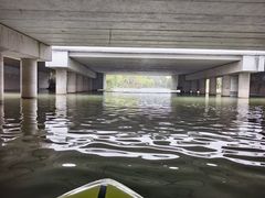 -新江湾城公园