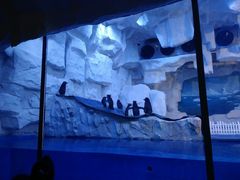 -华夏文旅海洋公园