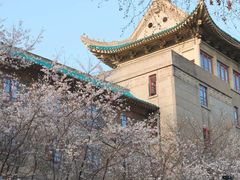 -武汉大学-樱园