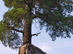 -泰山风景名胜区-普照寺