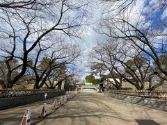 -名古屋城