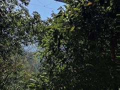 -遂昌金矿国家矿山公园