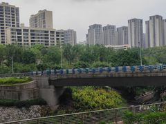 -重庆彩云湖湿地公园