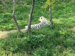 -石家庄市动物园