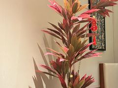 -老吉堂上海本帮菜(望京万象汇店)